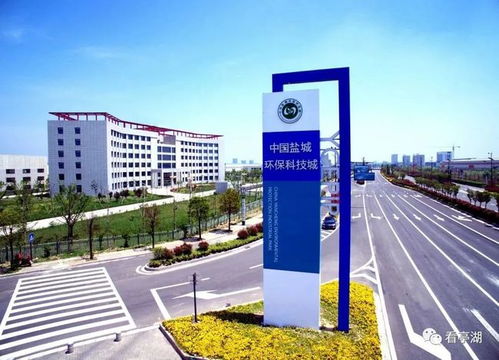 綠色化 高端化 特色化 亭湖產(chǎn)業(yè)體系加快提升