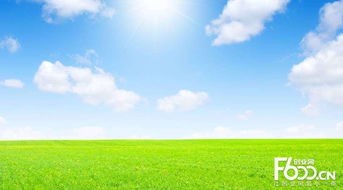 睿容空氣凈化器加盟指南 加盟費(fèi)、官網(wǎng)、條件流程及政策支持解析